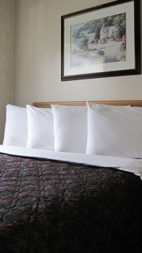 Motel &